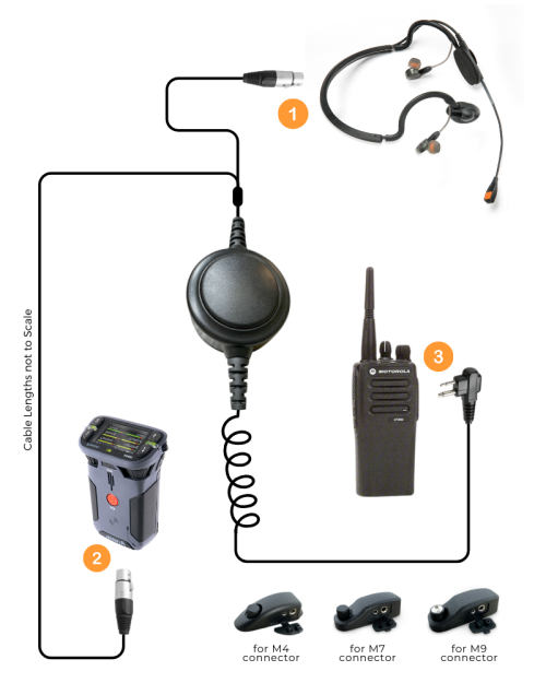 PTT-Infographic-FINAL